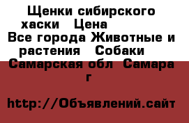 Щенки сибирского хаски › Цена ­ 12 000 - Все города Животные и растения » Собаки   . Самарская обл.,Самара г.